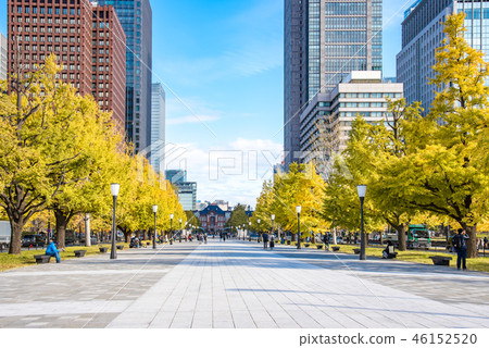 [秋天離開銀杏東京站] 46152520