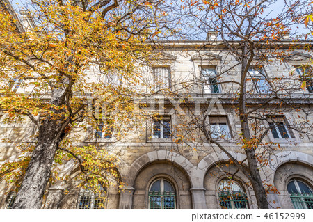 Brick building covered by yellow leaf trees 46152999
