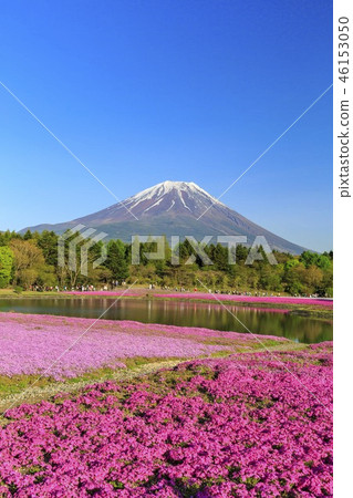 Featured image of post Fujikawaguchiko Massacre Photos address and phone number opening hours photos and user reviews on yandex maps