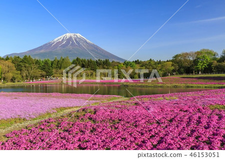 Mt. Fuji Massacre Mt. Fuji Massacre 46153051