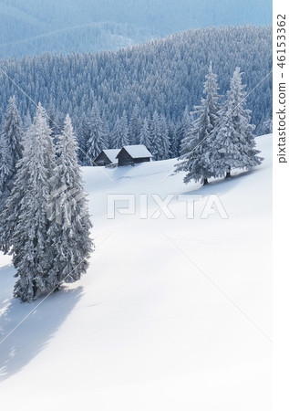 Fairy landscape in winter 46153362