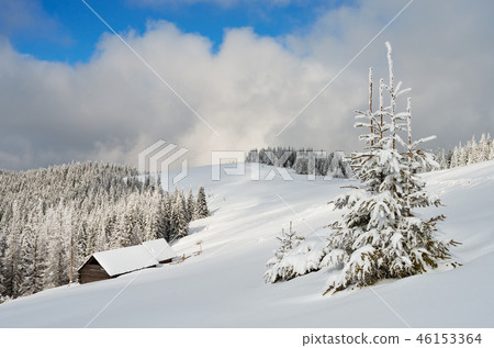 Landscape with fresh snow 46153364