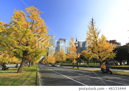 東京都千代田區丸之內 46153444