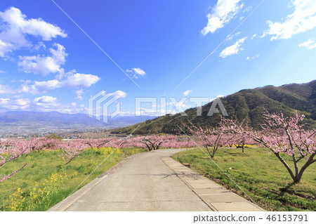Rural scenery (Yamanashi prefecture, Fuefuki city, Tougengo, spring edition) Rural scenery (Yamanashi prefecture, Fuefuki city, Tougengo, spring edition) 46153791