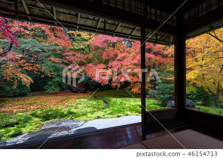 Autumn leaves in Kyoto Autumn leaves in Kyoto 46154713