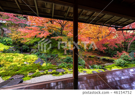 Authority Rurikoin Authority Rurikoin 46154752