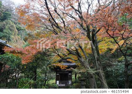 Kamakura Engakuji秋葉Engakuji寺 46155494