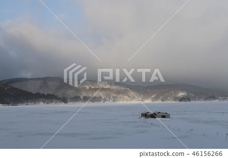 Image of 46156266