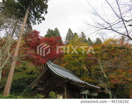 Fukui Pref.Imagination City Hanakyo Park Fukui Pref.Imagination City Hanakyo Park 46156292