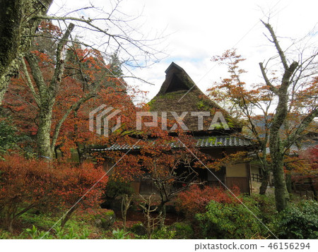 Fukui Pref.Imagination City Hanakyo Park 46156294