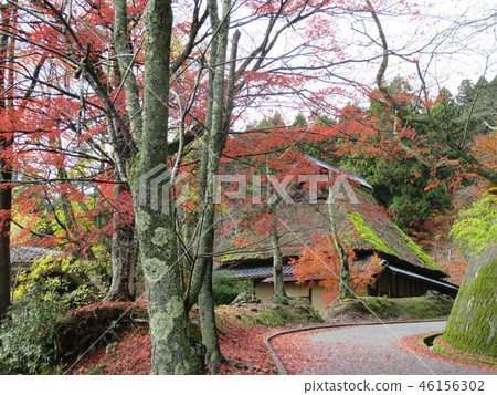 Fukui Pref. Imagination City Hanakyo Park 46156302