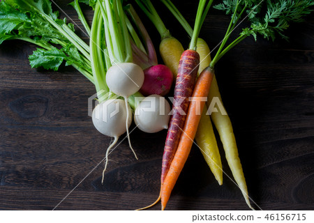 根菜類各種各樣 根菜類各種各樣 46156715