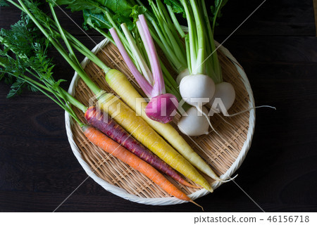 根菜類各種各樣 46156718