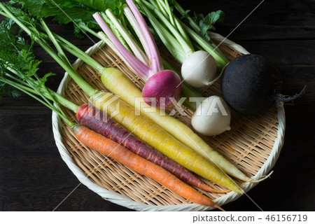 根菜類各種各樣 根菜類各種各樣 46156719