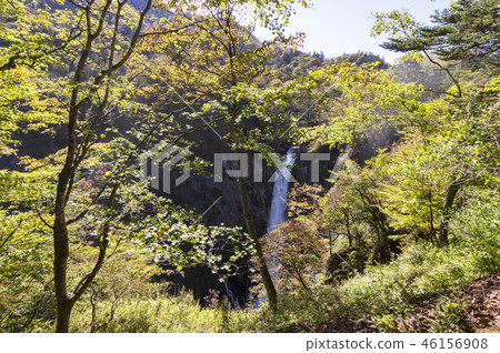 死者的墮落 46156908