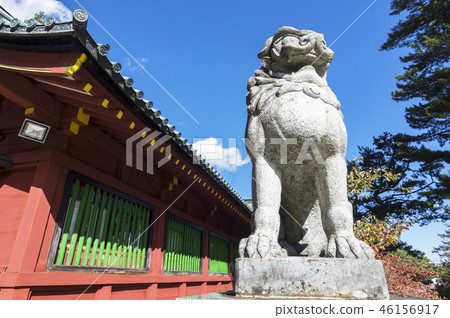 Nikko Furayama Shrine Shiba Inu 46156917
