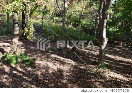 小松城遺址議會 小松城遺址議會 46157106