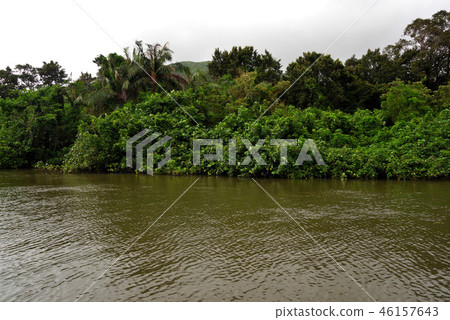 Landscape of Iriomote Island fellow river 46157643