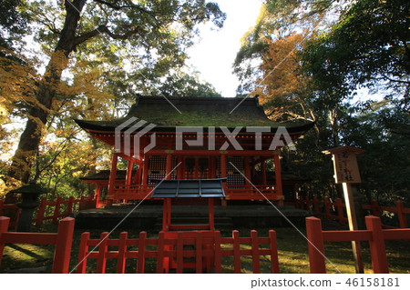 美國神社大分縣美國市日本 46158181