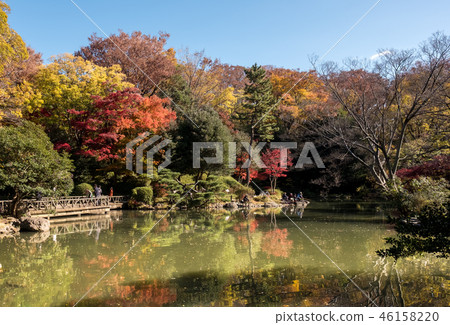 在Arisugawa宮殿紀念公園的秋天 46158220