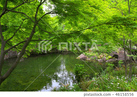 Fresh green Tokugawaen 46158556