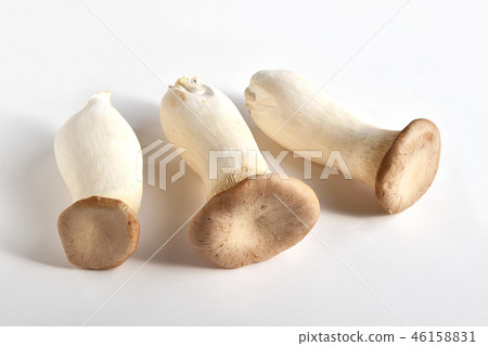 蘑菇(eryngii) 蘑菇(eryngii) 46158831