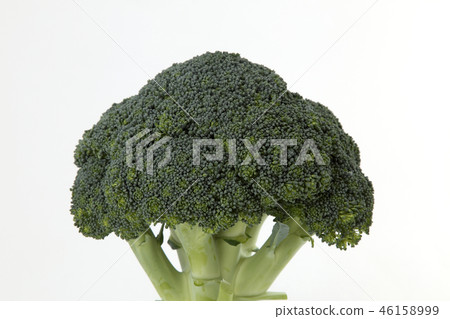 broccoli 46158999