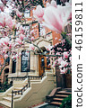 Boston Spring (Magnoria) 3 46159811