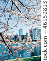 Prudential Tower and Sakura 46159813