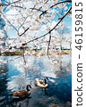 Cherry blossoms and Canadian cancer 46159815