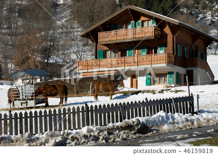 Swiss Farmhouse 46159819