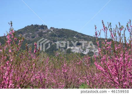 桃花和櫻花盛開的山脈 桃花和櫻花盛開的山脈 46159938