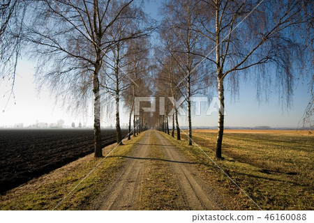 Country Lane, Germany Country Lane, Germany 46160088