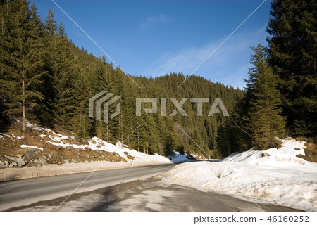 Alpine Forest Alpine Forest 46160252
