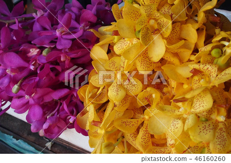 flower 46160260