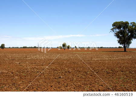 Ploughed Field Ploughed Field 46160519
