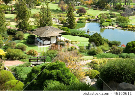 Japanese Garden Japanese Garden 46160611
