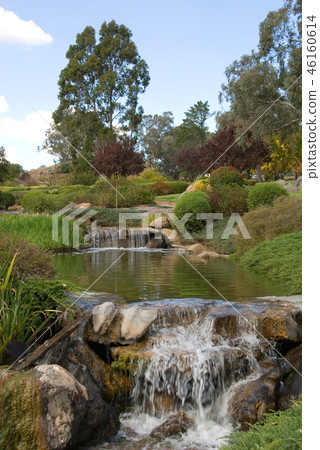 Japanese Garden Japanese Garden 46160614