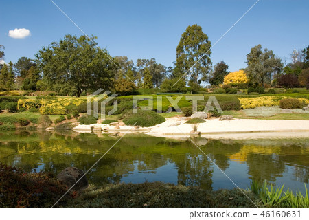 Japanese Garden Japanese Garden 46160631