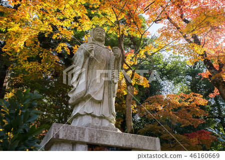 Koto Miyama Saimyoji 395 46160669