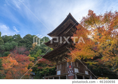 Koto Miyama Saimyoji 197 46160698