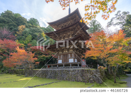 Koto Miyama Saimyoji 107 46160726