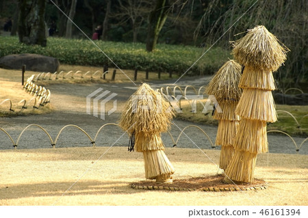 A park with walla pochi A park with walla pochi 46161394