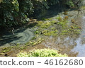 Kakita River spring spring 46162680
