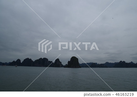 Image of 46163219