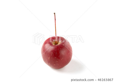 Ringo Alps Otome Ringo Alps Otome 46163867