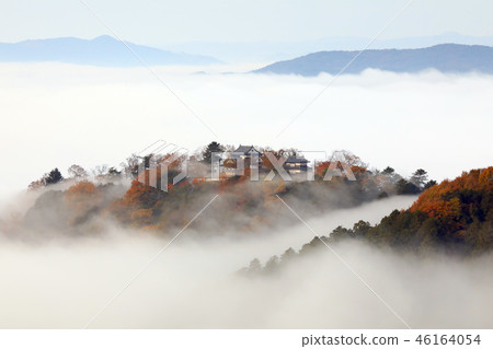 天堂城堡3206 46164054