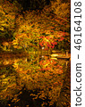 Autumn leaves lit up 46164108
