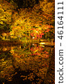 Autumn leaves lit up 46164111