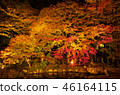 Autumn leaves lit up 46164115